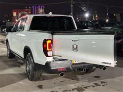 هوندا رجلاین